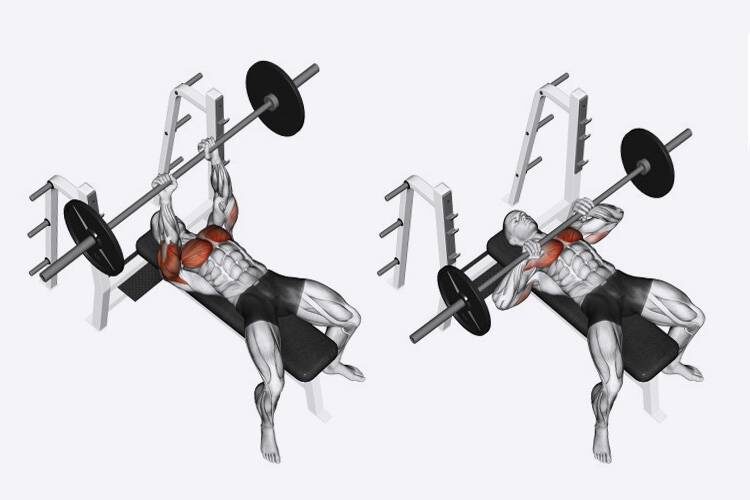 Яндекс.Картинки 