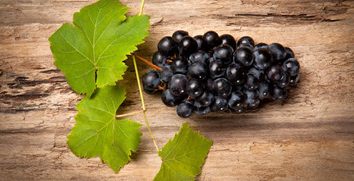 Всемирный день сорта Гарнача