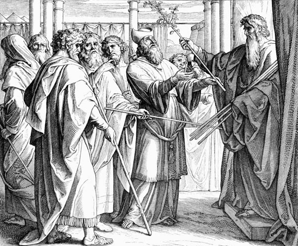 Расцветший посох Аарона. Изображение взято из книги А.Ю.Склярова "По следам Ковчега Завета", издательство ВЕЧЕ, 2015 