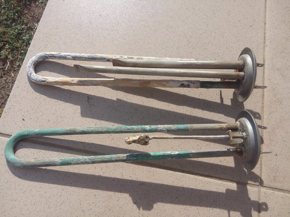 Тэны до очистки (фото автора)