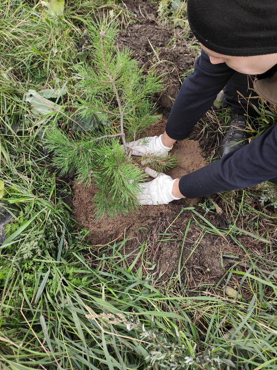 Расти большой