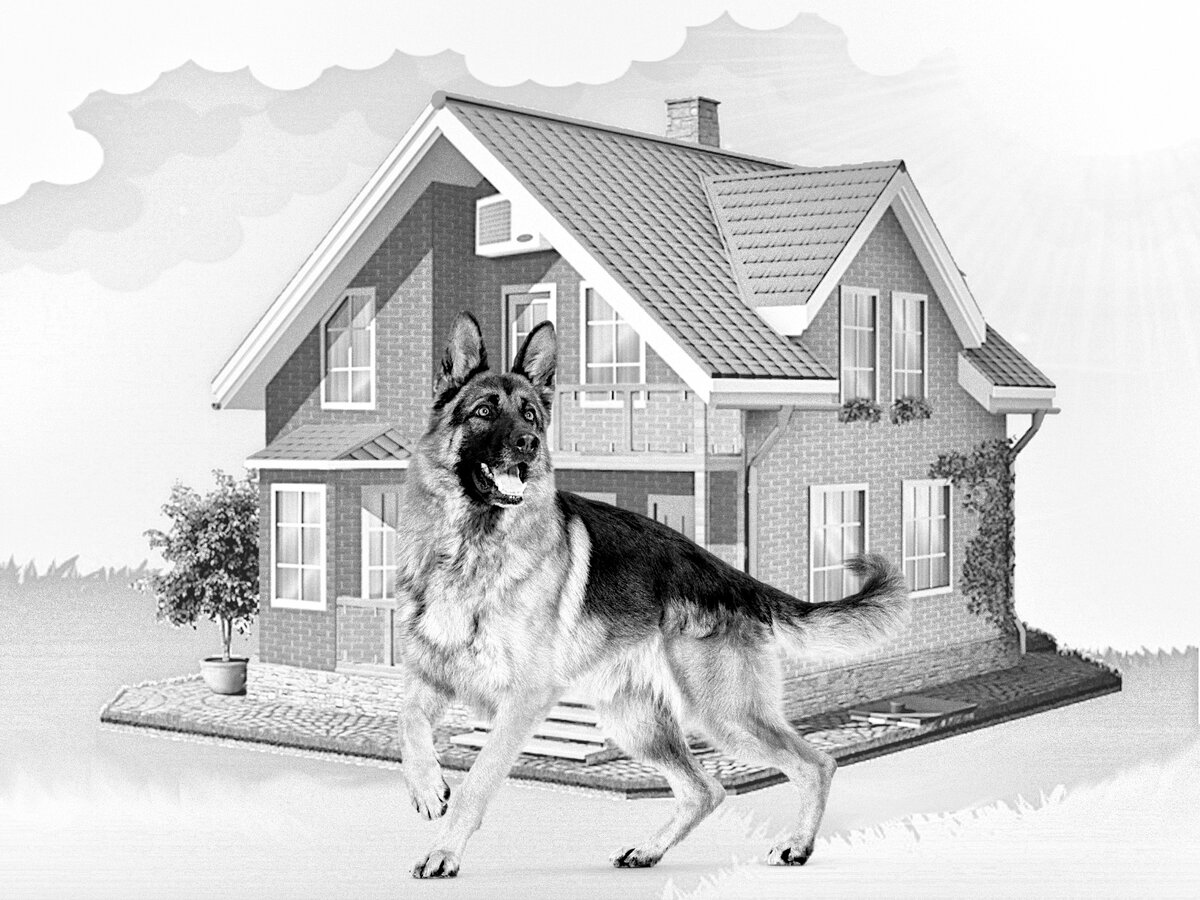 Картинка чисто для иллюстрации. "Нарисована" автором, исходные изображения взяты из сети