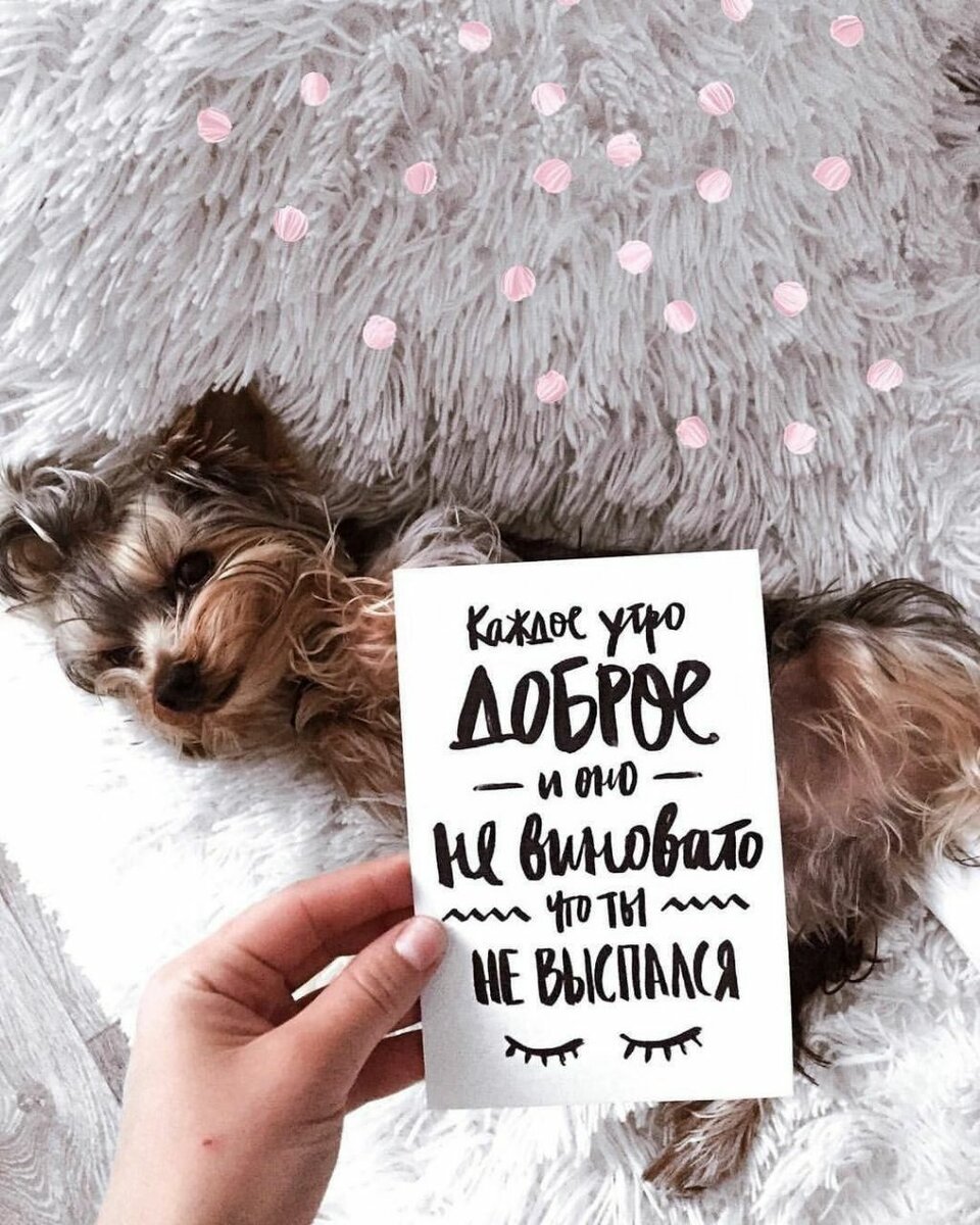 Как часто мы высыпаемся....