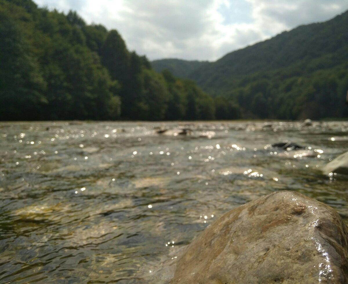 Авторское фото. От канала "Целься выше"