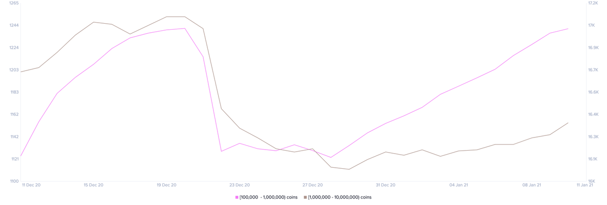Распределение держателей XRP по Santiment