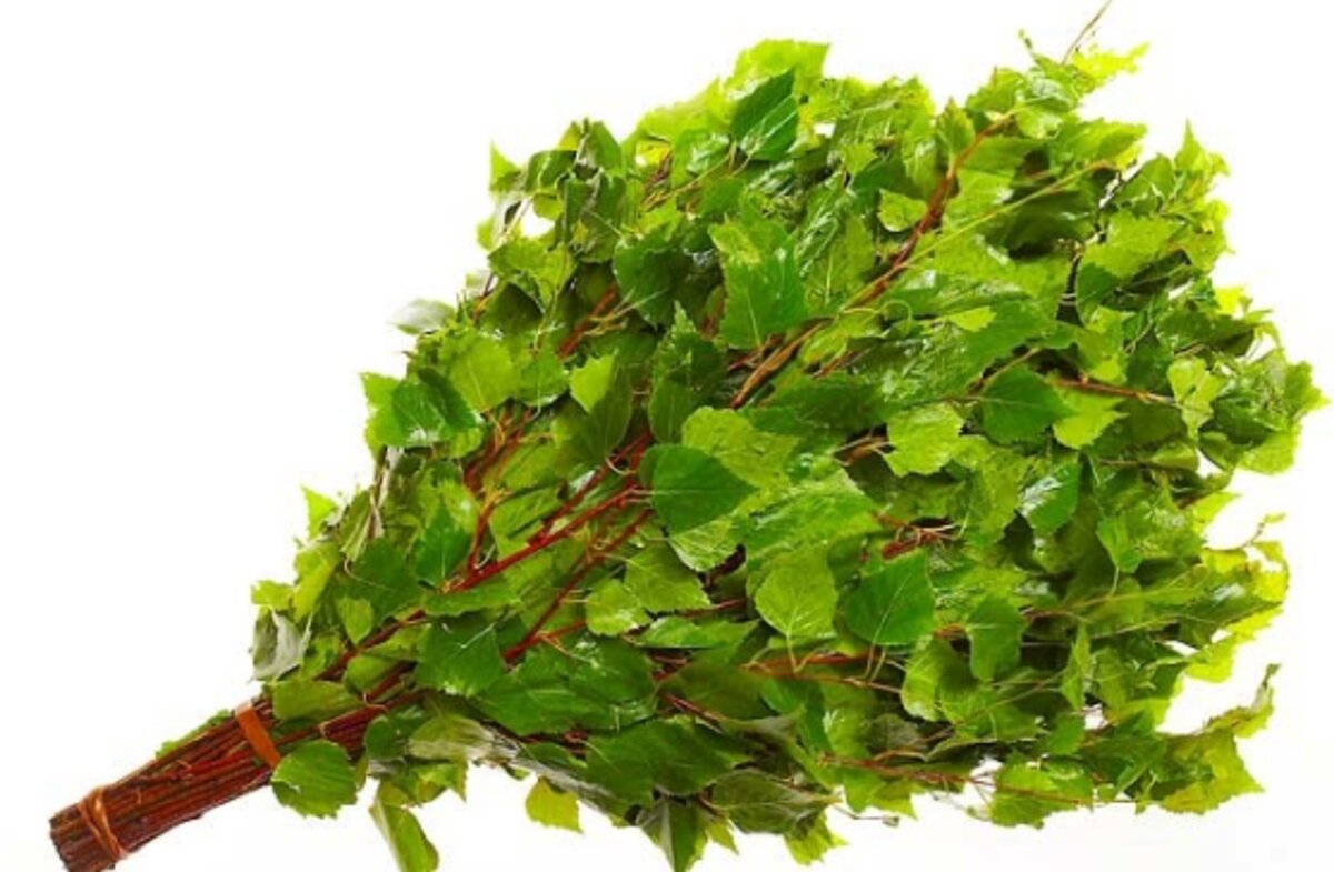 Берёзовый веник 