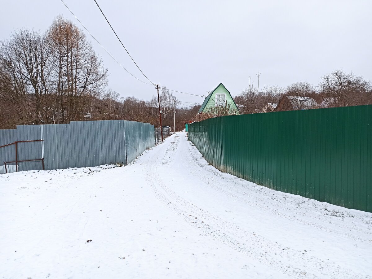 Татьянин День, зимние дела на даче, планирование нового дачного сезона.