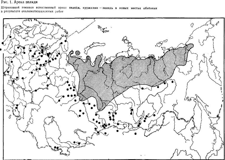 Рыбная карта россии