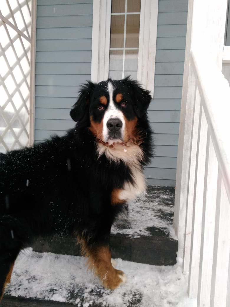 Поль в 1 год