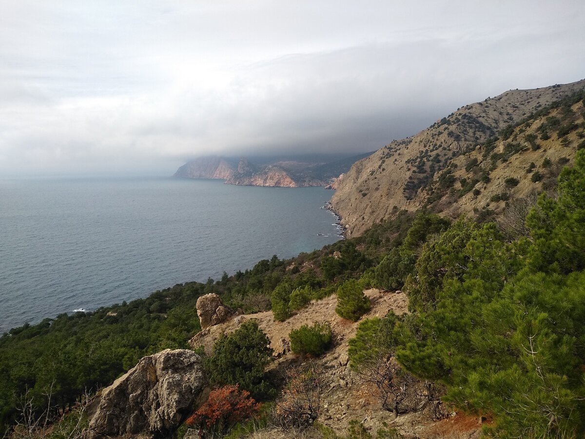 Фото сделано на телефон 4 февраля 2021 г.