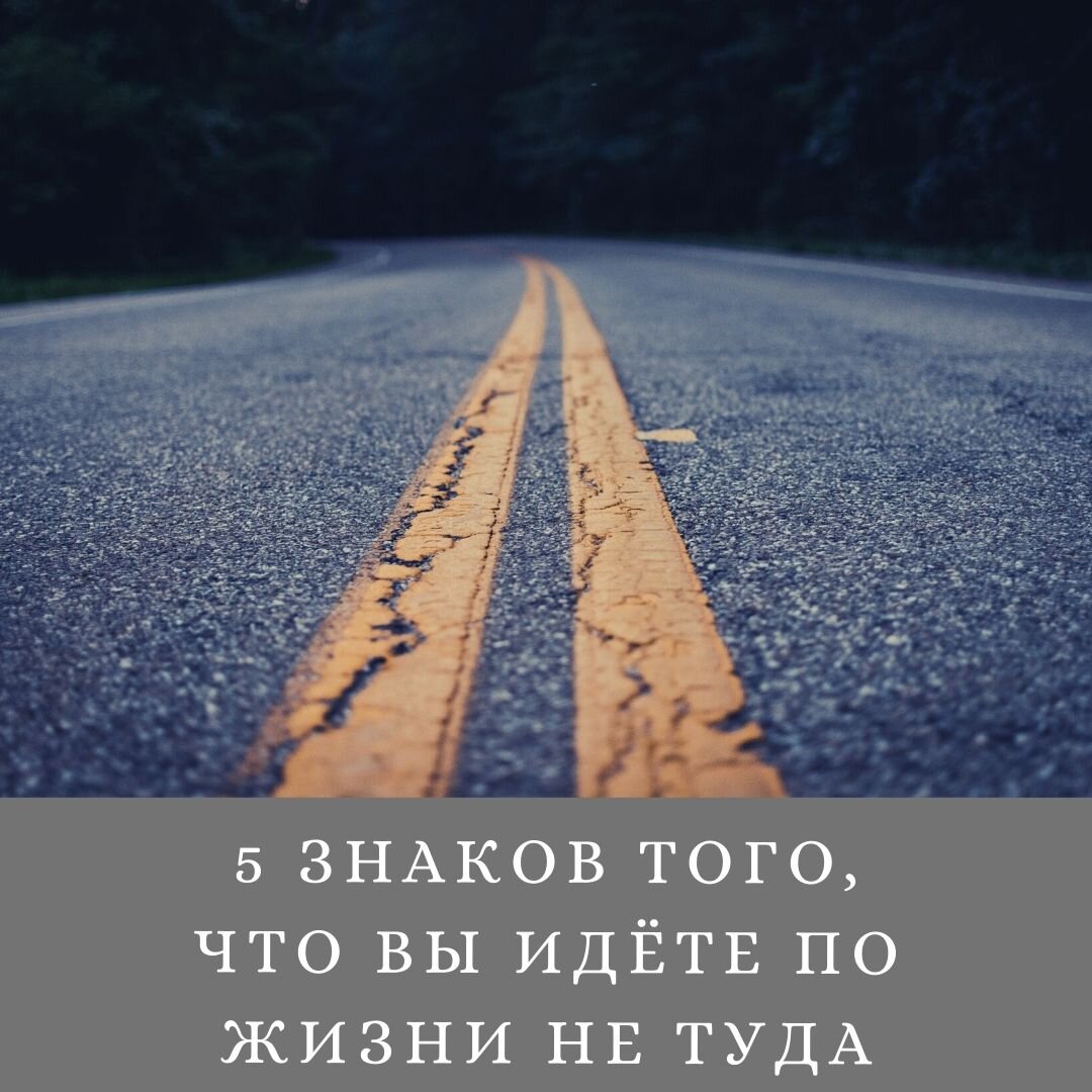 Дизайн выполнен в редакторе Canva