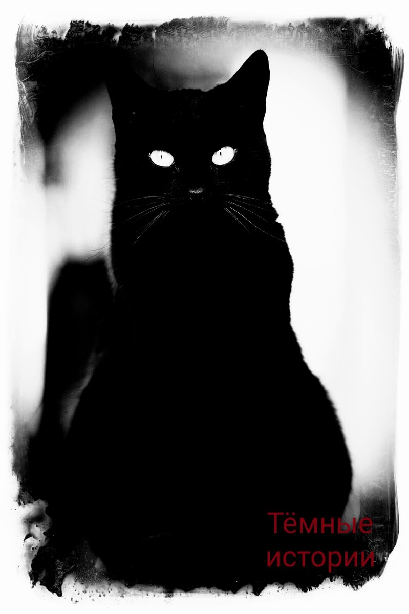 Изображение из открытых источников.