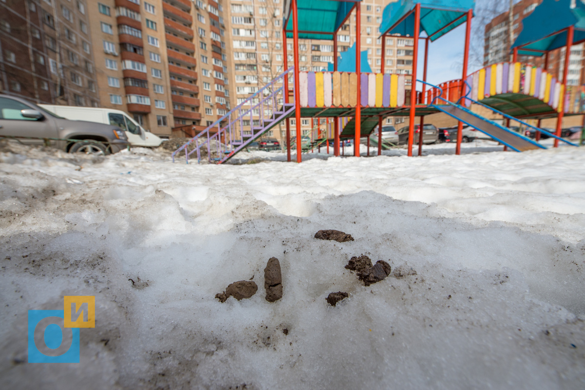 Фото из интернета