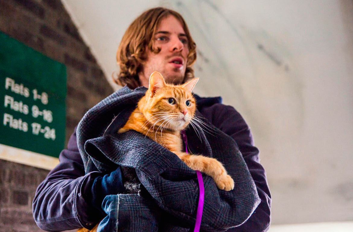 Фильм основан на реальных событиях