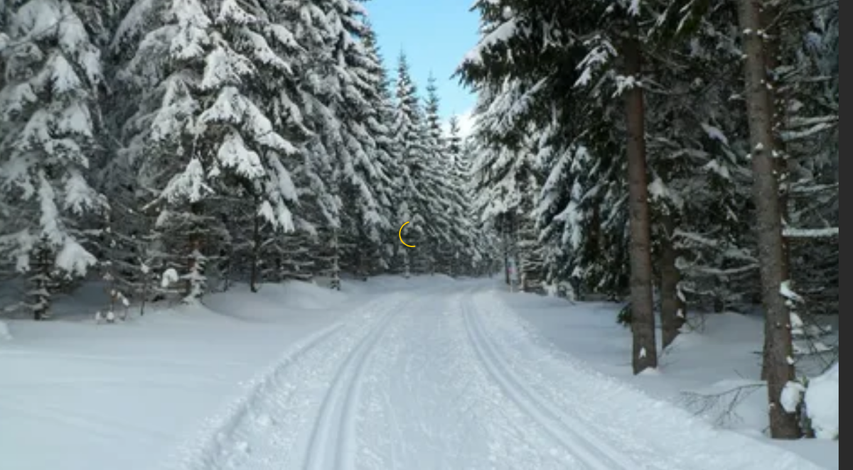 Фото с Яндекса. Сибирь.