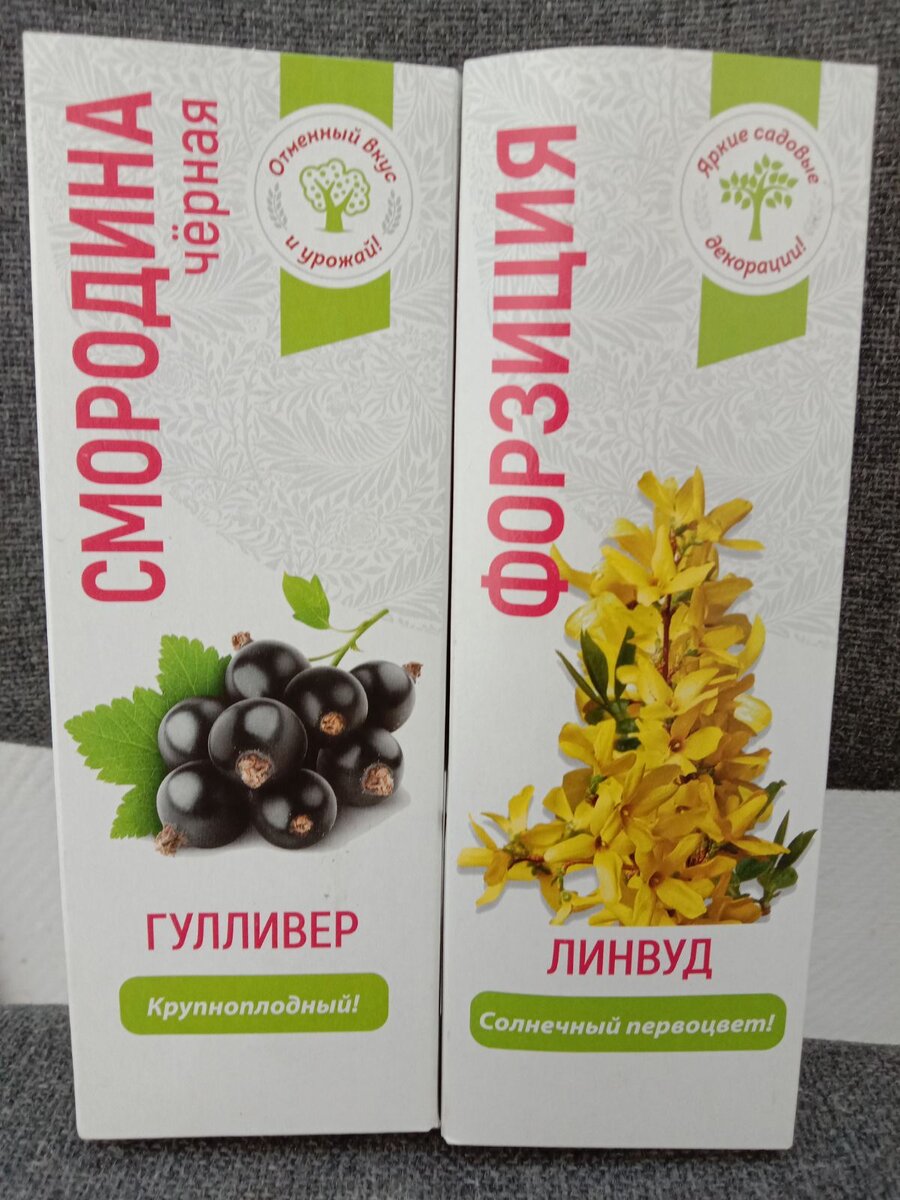 Такие саженцы приобрела