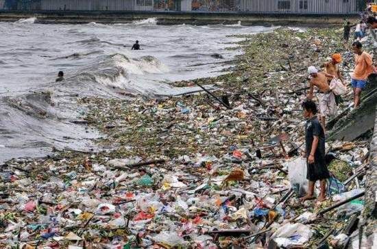 Фото яндекс картинки