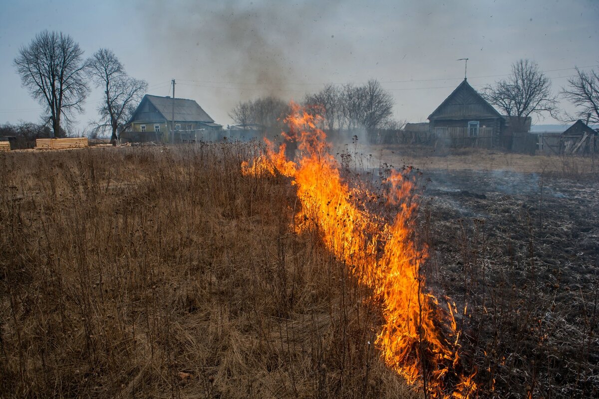 Фото: Яндекс.картинки