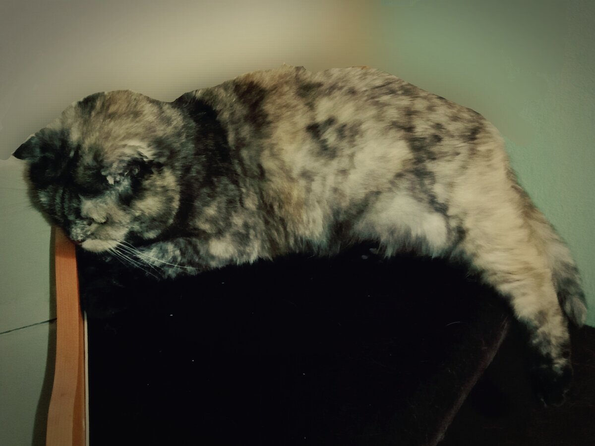 Только сверху