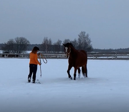 Я и Джуниор. Наше фото к статье. 
