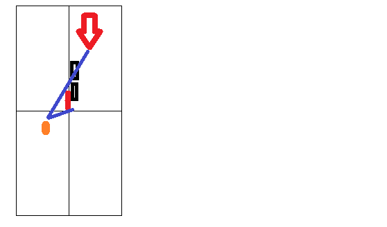 Картинка автора. Точки обзора купальника