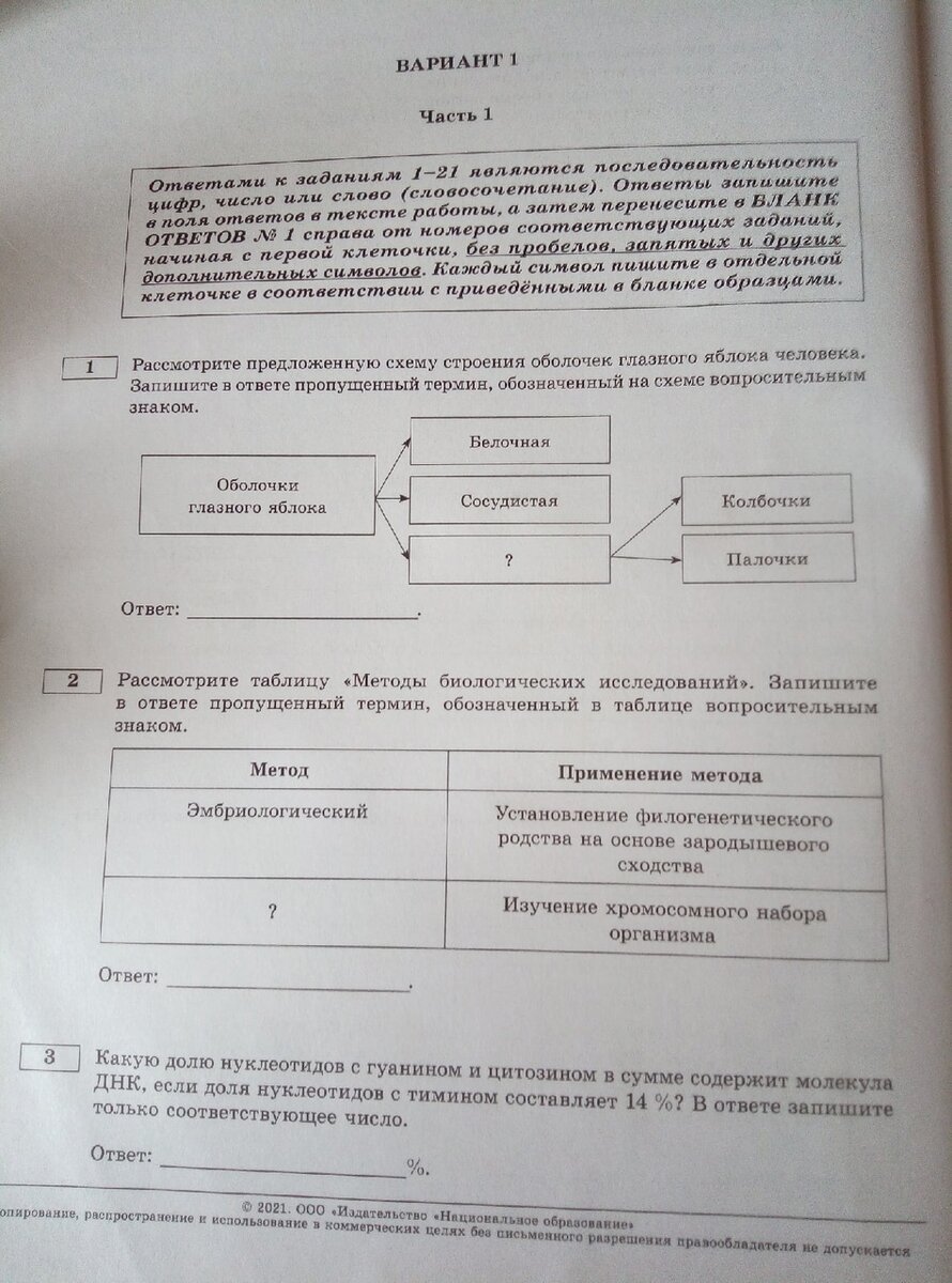 Вот так выглядят задания, предполагающие краткий ответ