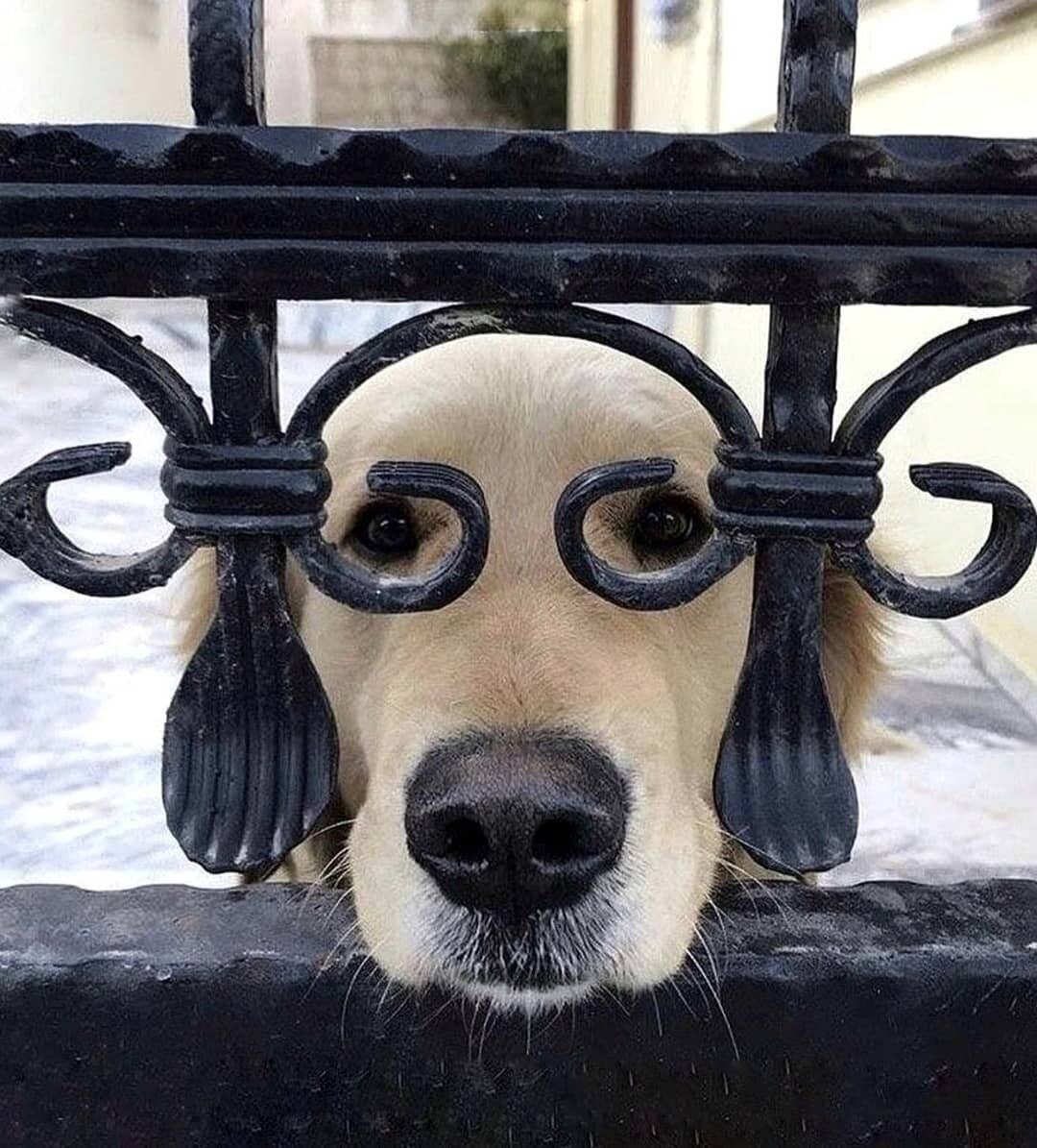 Очень хороший мальчик.