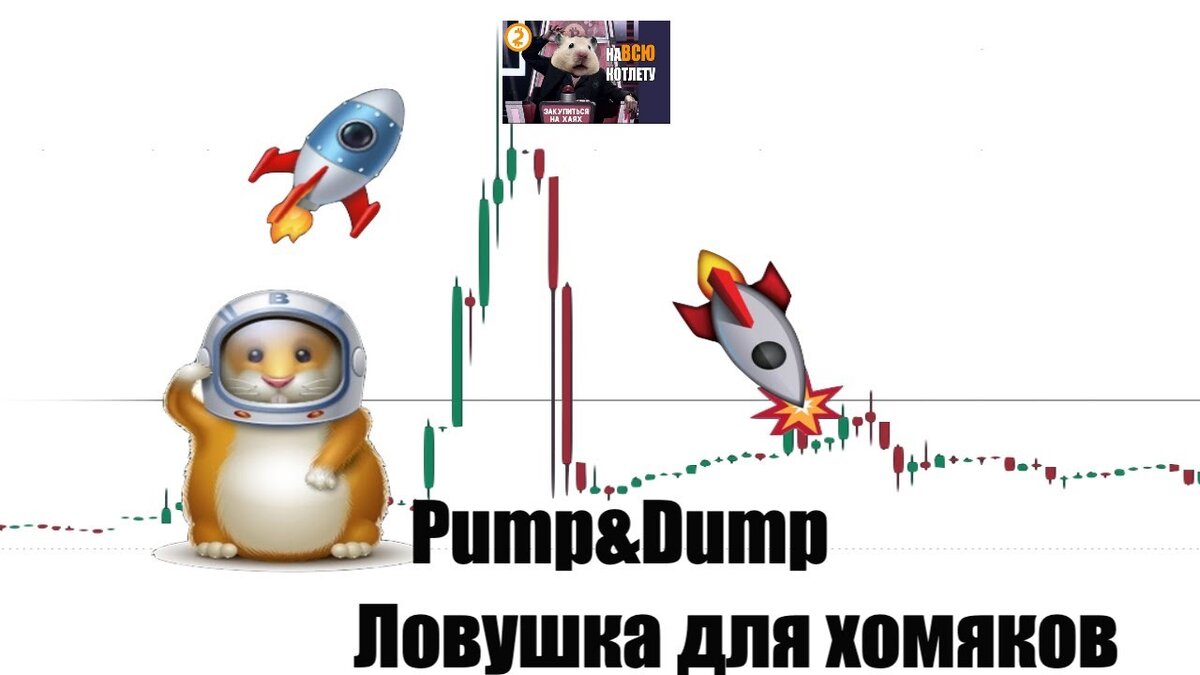 Летела ракета, упала в болото