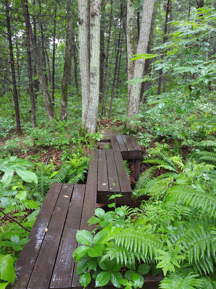 фото автора Елены М.