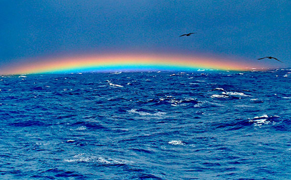 Разговаривайте с водой всегда.