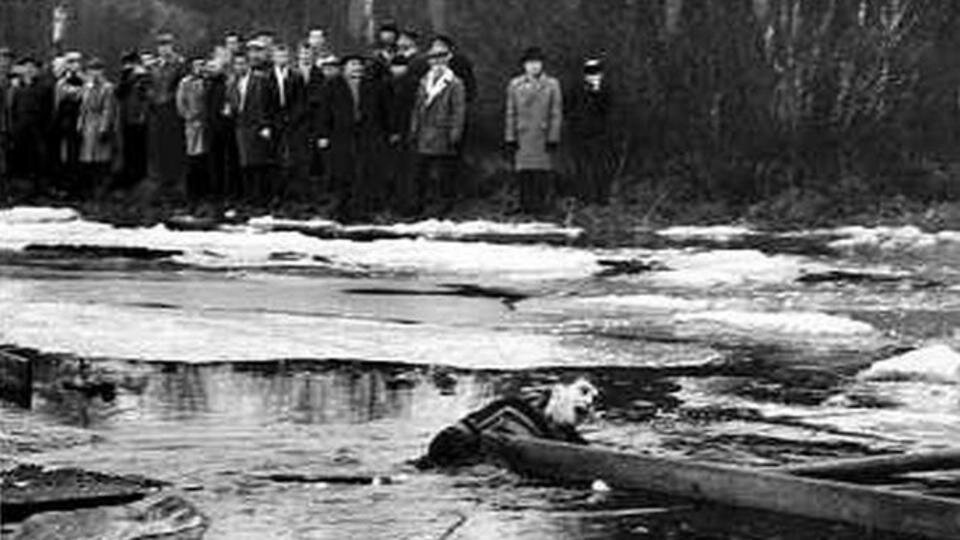 Фото: © Защитник «Чепинга» Карл-Гуннару Столю