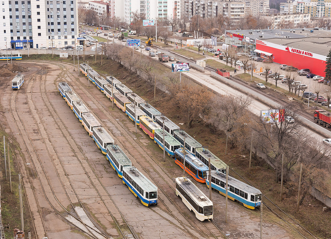 Фото автора. Большой веер