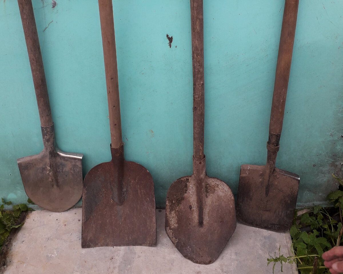 Фото автора. Лопаты слева направо: штыковая, совковая, совковая переделанная, саперная.