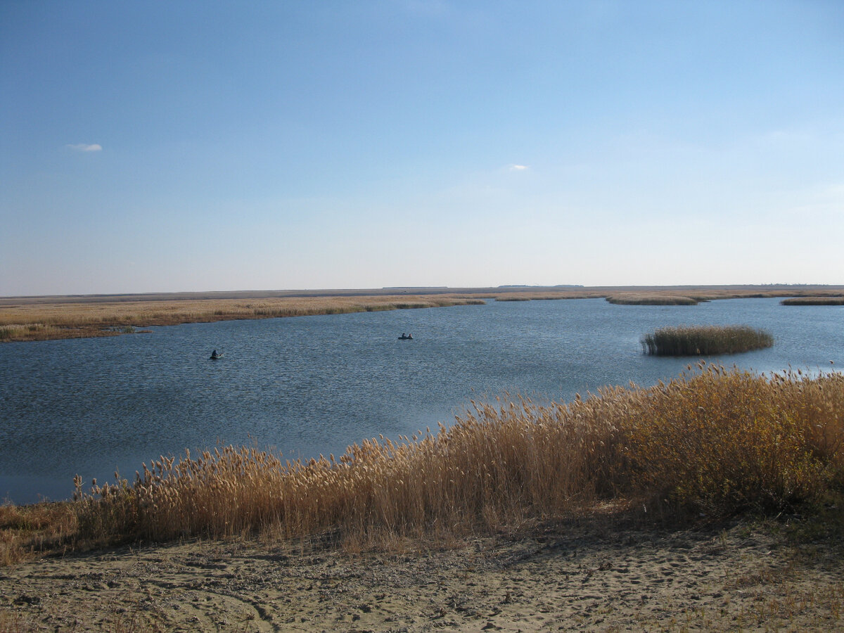 Октябрь . Все меньше солнечных дней и больше дождливых .
