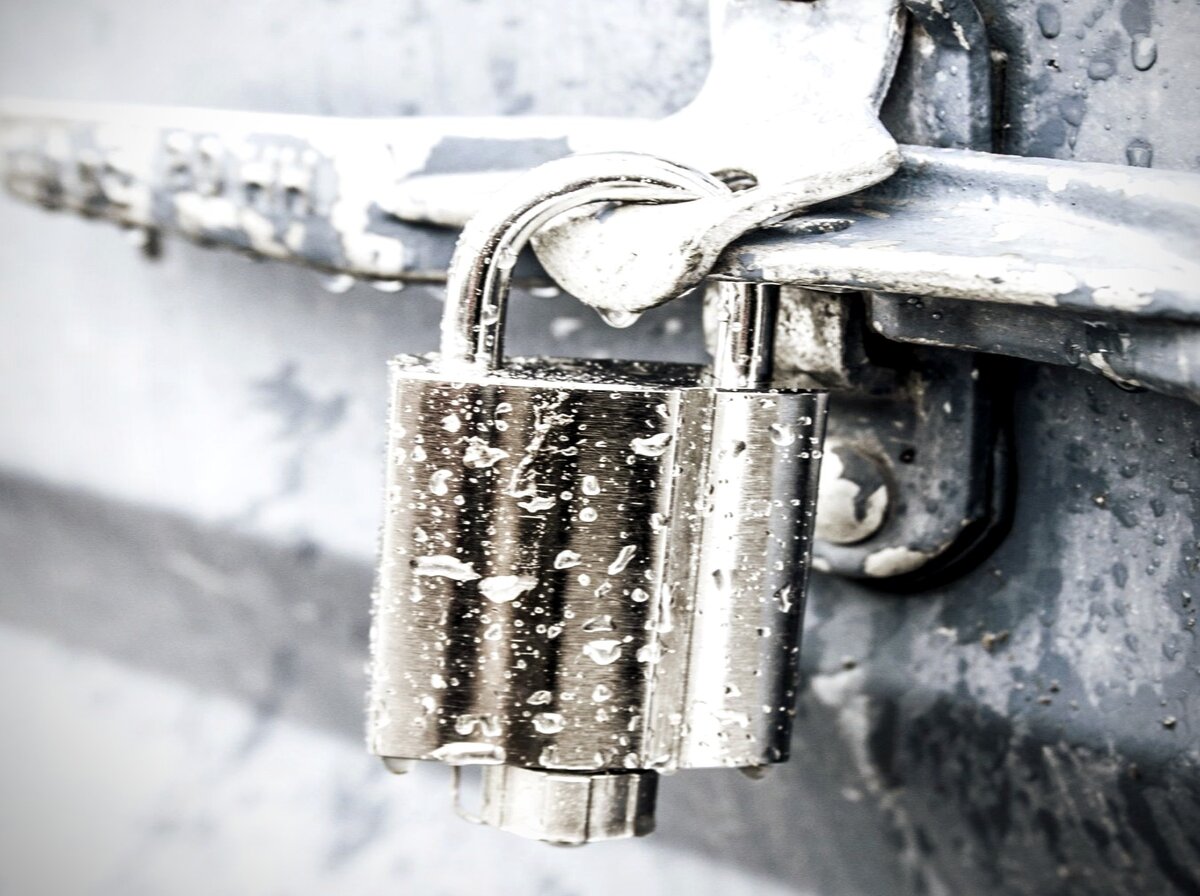 защита сада от кражи