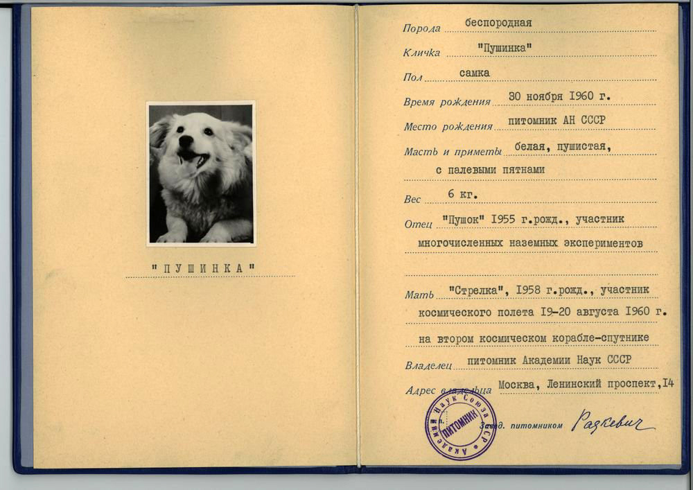 Паспорт "Пушинки", с которым она пересекла границу