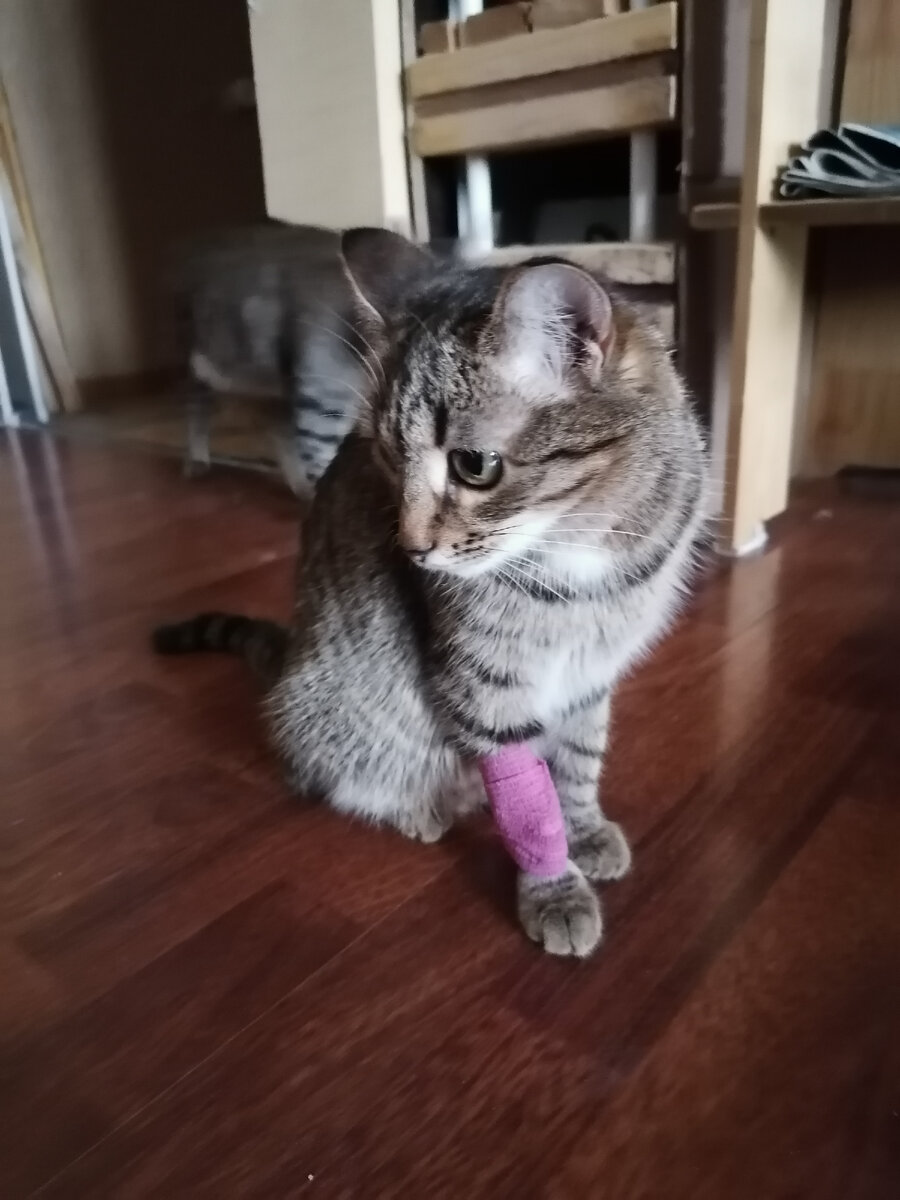 Даша после приёма, уже дома. Фото автора