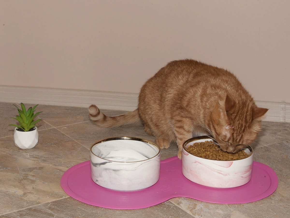 Все владельцы кошек прекрасно знают, что кормить питомцев со стола неполезно и даже опасно.  Жирную, сладкую, соленую и копченую пищу мурлыки не способны переварить без ущерба для здоровья.-2