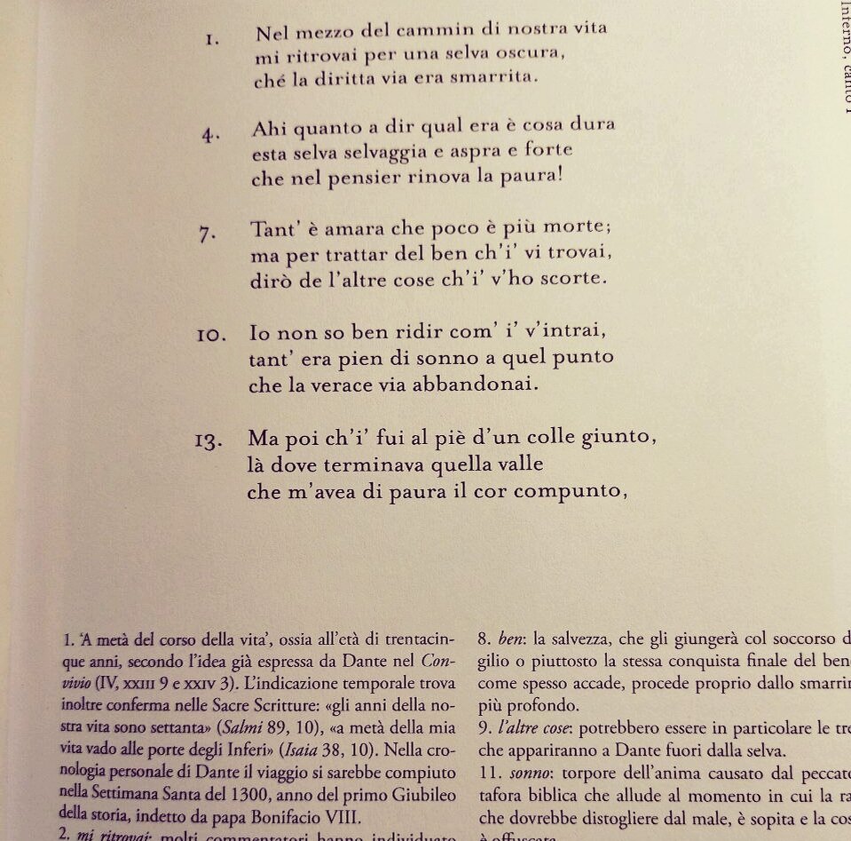Каждая страница текста содержит обширные комментарии, поскольку язык Данте не только богат историческими отсылками и символами, но также по своей лексической и грамматической структуре далек от современного итальянского