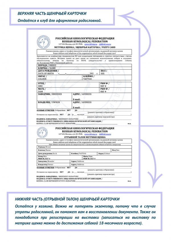 Как оформить родословную для собаки в Российской кинологической ...