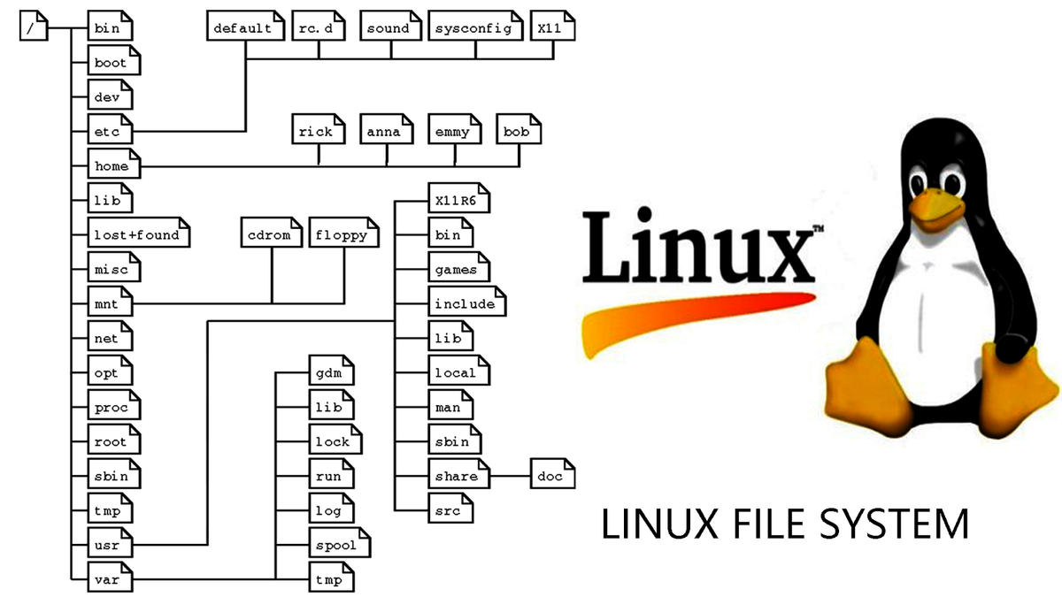 Переместить файл через терминал. Файловая система ОС Linux. Структура файловой системы ОС Linux. Фай=ловая система Linux. Структура OC Linux.