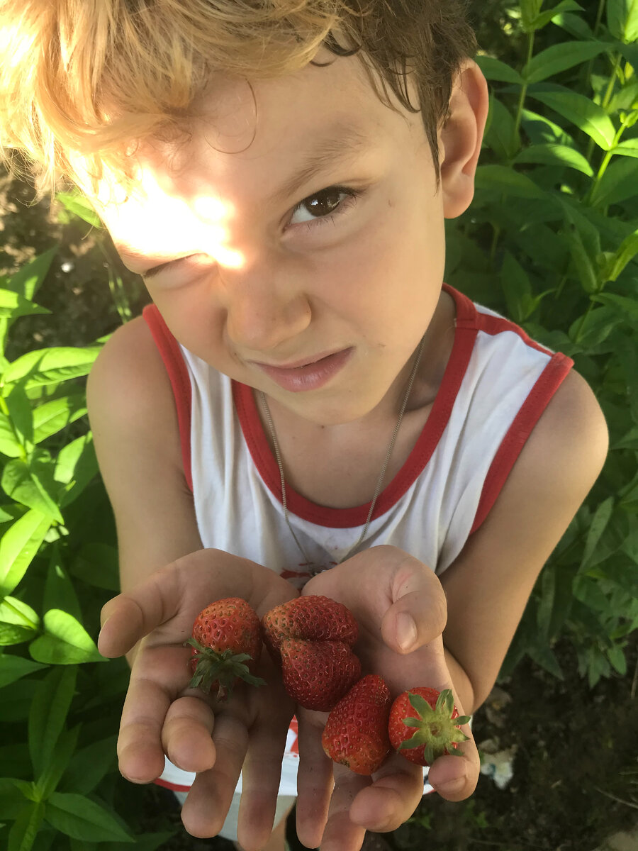 Детство Василия Тимофеевича