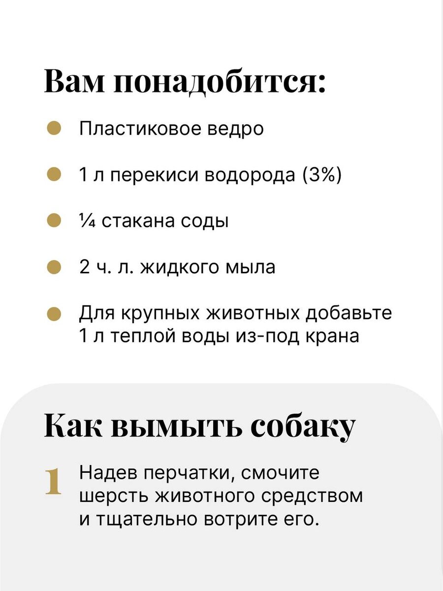 Весной питомцы особенно часто возвращаются с прогулки в грязи. Чем же лучше отмыть шерстку собаки? Вот простой рецепт. -2