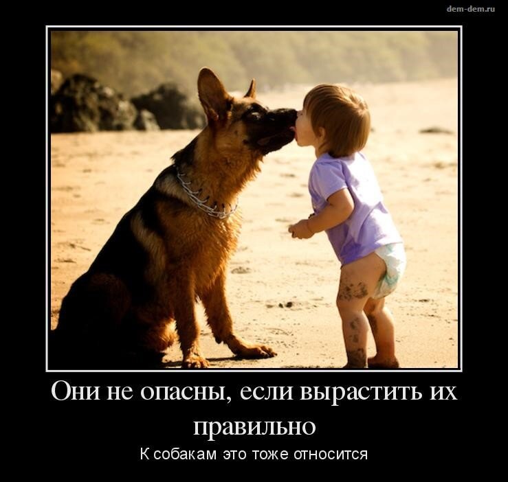Очень известный мем. / Картинка с просторов.