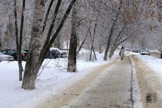    Зима в Подмосковье Наталья Стрельцова © ИА REGNUM