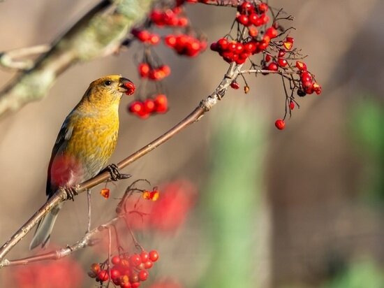     фото: freepik.co