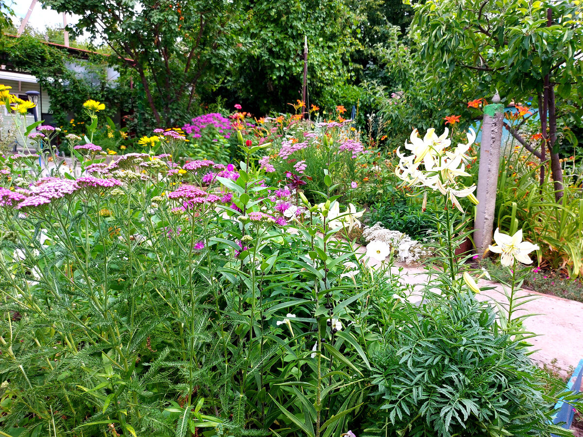 Фото автора.