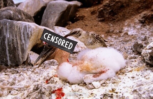 — Доктор, у меня так голова болит, что можете посоветовать? 
— Кровопускание! 