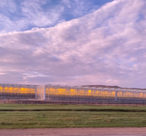 Теплицы в окрестностях Кисловодска