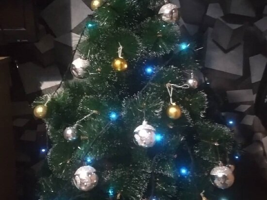     Фото: МК Ямал